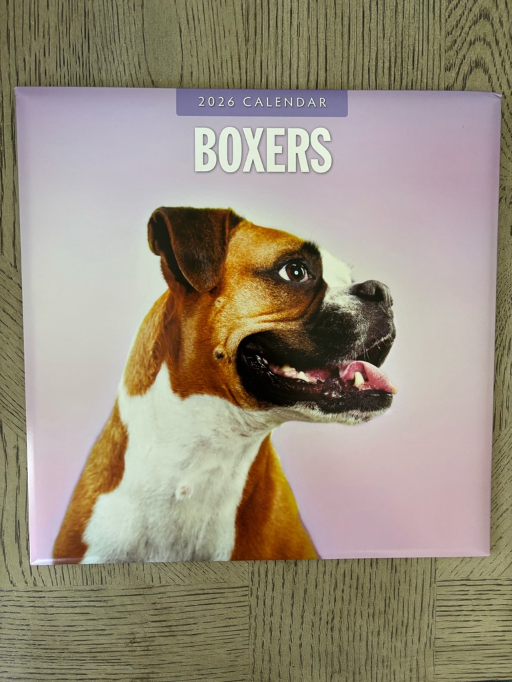 2026 Boxers Monthly Wall Calendar